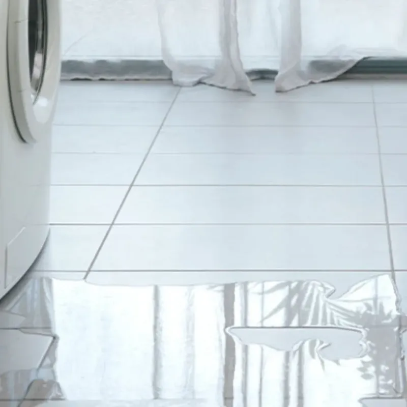 Appliance Leak Cleanup in Williamsburg County, SC