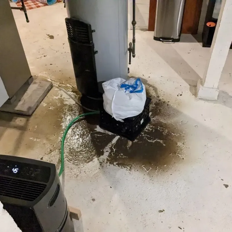 Sewage Backup Cleanup Service in Williamsburg County, SC